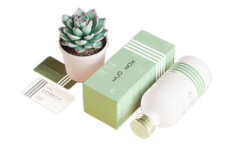 Eco Friendly Boxes